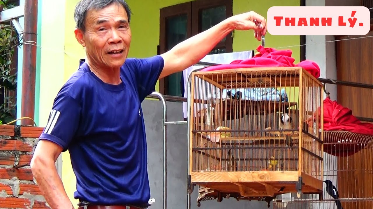 Đến Thăm Nhà 2 Bác Cần Thanh Lý Lô Chim Chào Mào,Choè Than,Choè Lửa,Cu Gáy // Tuân Huệ VP.