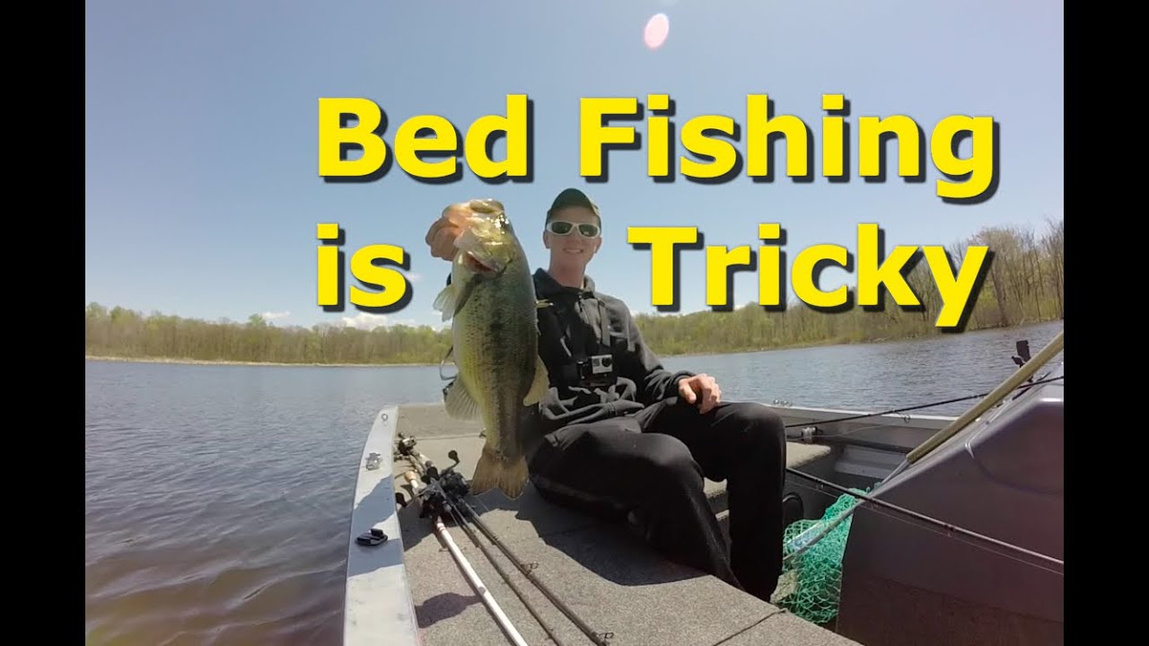 Bed Fishing Hard to Catch Fish YouTube
