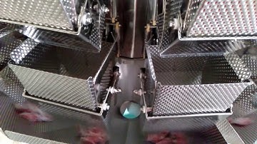 3L 18 Head Multihead Weigher for counting bags