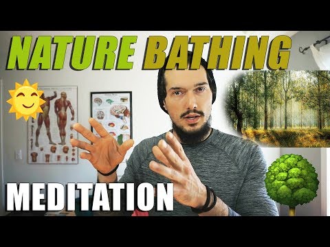 Benefits of Forest Bathing, Nature Bathing (Shinrin Yoku) and Meditation 🍃