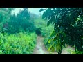 [WARNING] You’ll Fall Asleep Instantly Rainstorm ASMR for Insomnia Relief