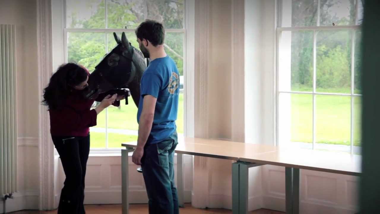 NovaUCD Campus Company Development Programme