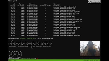linux stack tracing nginx and strace parser