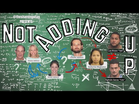 Not Adding Up - Some Questions I Have About Charlie, Wendi & Donna Adelson - Justice For Dan Markel