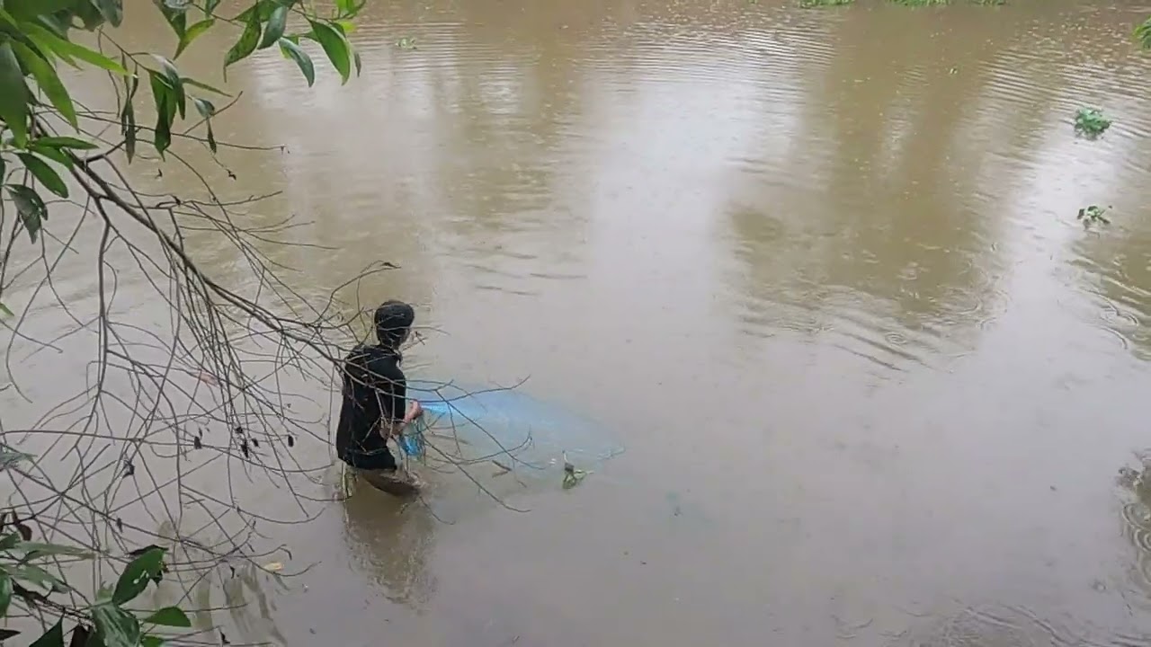 Trải Nghiệm Cùng Anh Em Tư Cà Khịa Ngày Mưa Ra Sông Chài Cá Sẽ Như Thế Nào