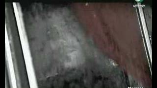 سارة الهانى_كرهنى فيك