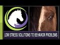 How Horses Learn: Low-stress Solutions to Behavior Problems