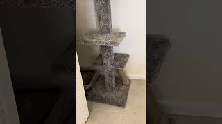 2142 NE 56th Ct Ft Lauderdale