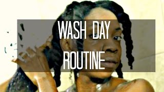 Updated Thick Natural Hair Wash Day Routine 2016