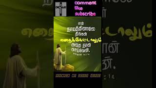 NEER ENNAI THAGUVATHAL  ||FR.S.J.BERCHMANS ||CHRISTIAN SONG #worship #status