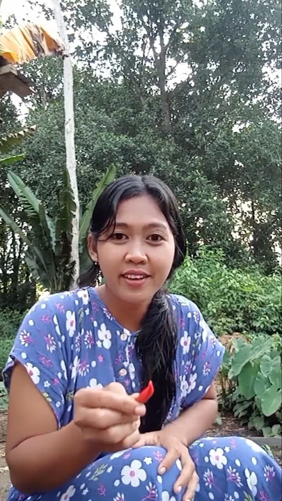 mau ketawa takut dosa video lucu bkin ngakak hiburan warga 62 funny videos