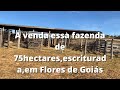 A venda essa fazenda de 75hectares,escriturada,em Flores de Goiás