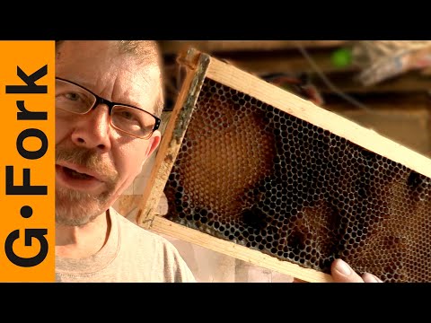 Let&rsquo;s Melt Honeycomb And Make Beeswax, OK?