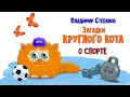 Загадки Круглого Кота о Спорте / Владимир Степанов