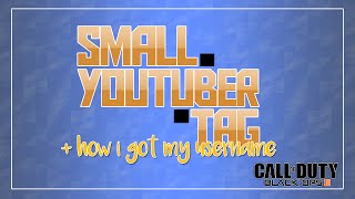 BO3 | THE SMALL YOUTUBER TAG