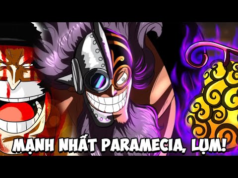 Video MỚI XUẤT HIỆN thêm Trái Ác Quỷ MẠNH NHẤT hệ Paramecia!... - youtube