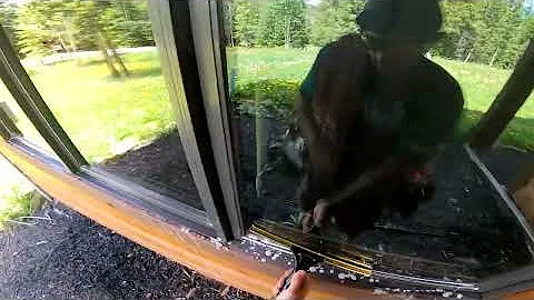 THE STEVEO SPECIAL | HOW TO FAN WINDOWS | EP.1