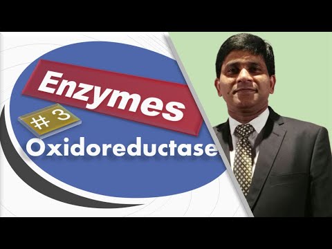 Oxidoreductases: เอนไซม์ ชั้น 1: subclasses กับ ตัวอย่าง