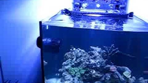 Vortech MP20 Powerhead