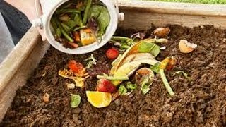 Create your own compost. it's easy to cook up just layer organic
materials -- garden clippings, dry leaves, kitchen vegetable scraps,
shred...