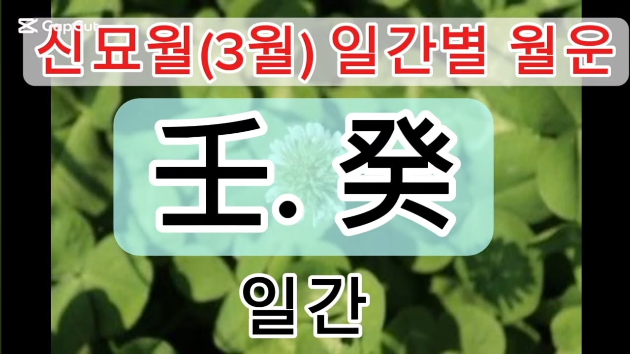 3월(신묘월)일간별 월운. 임수계수일간