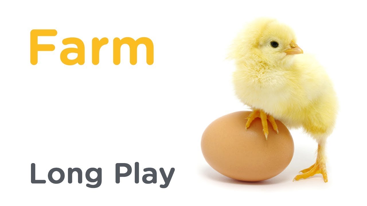 WeeSchool MacDonald's Farm – Long Play HD