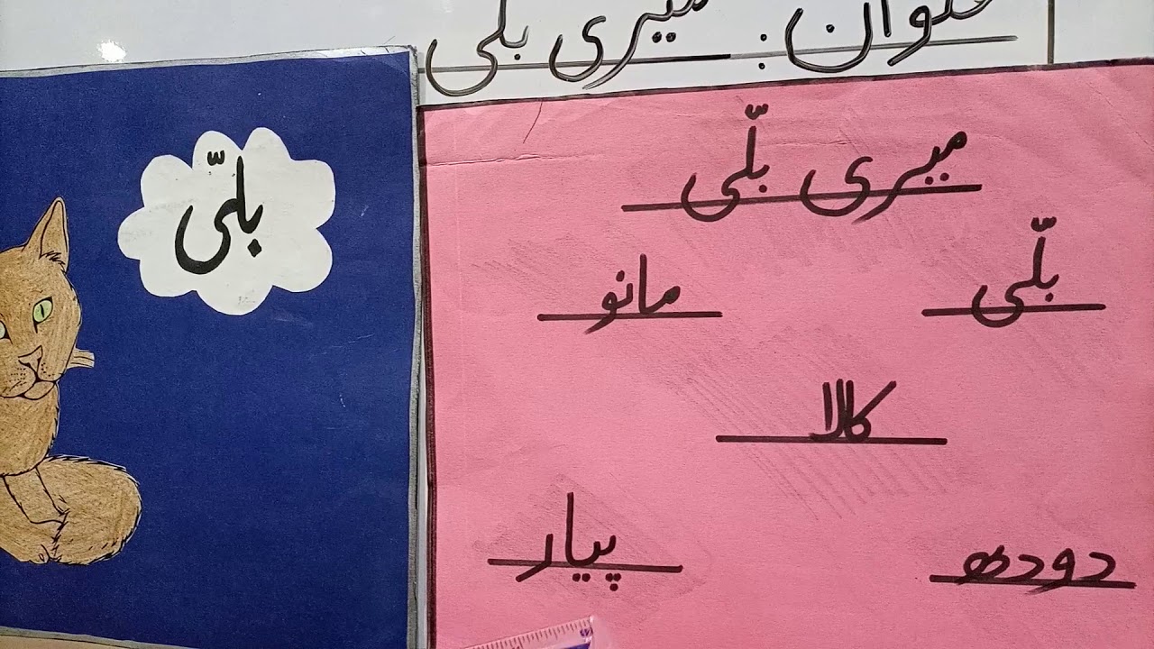 meri billi essay in urdu for class 3