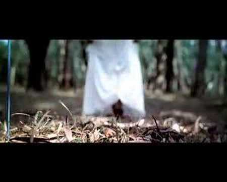 music Video Homogenic