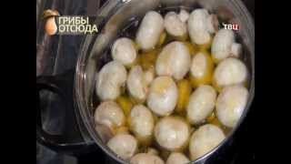 Обман про Грибы / документальный, исследование, криминал, Обман про Грибы / документальный, исследование, криминал,