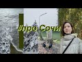 про новую стрижку и поездку в Сочи//#обо_всём