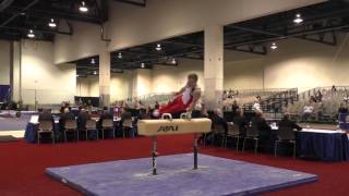 Cameron Bock - Pommel Horse - 2016 Winter Cup Prelims