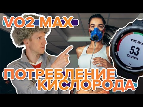 Видео: VO2 Max -ийг хэмжих 3 арга