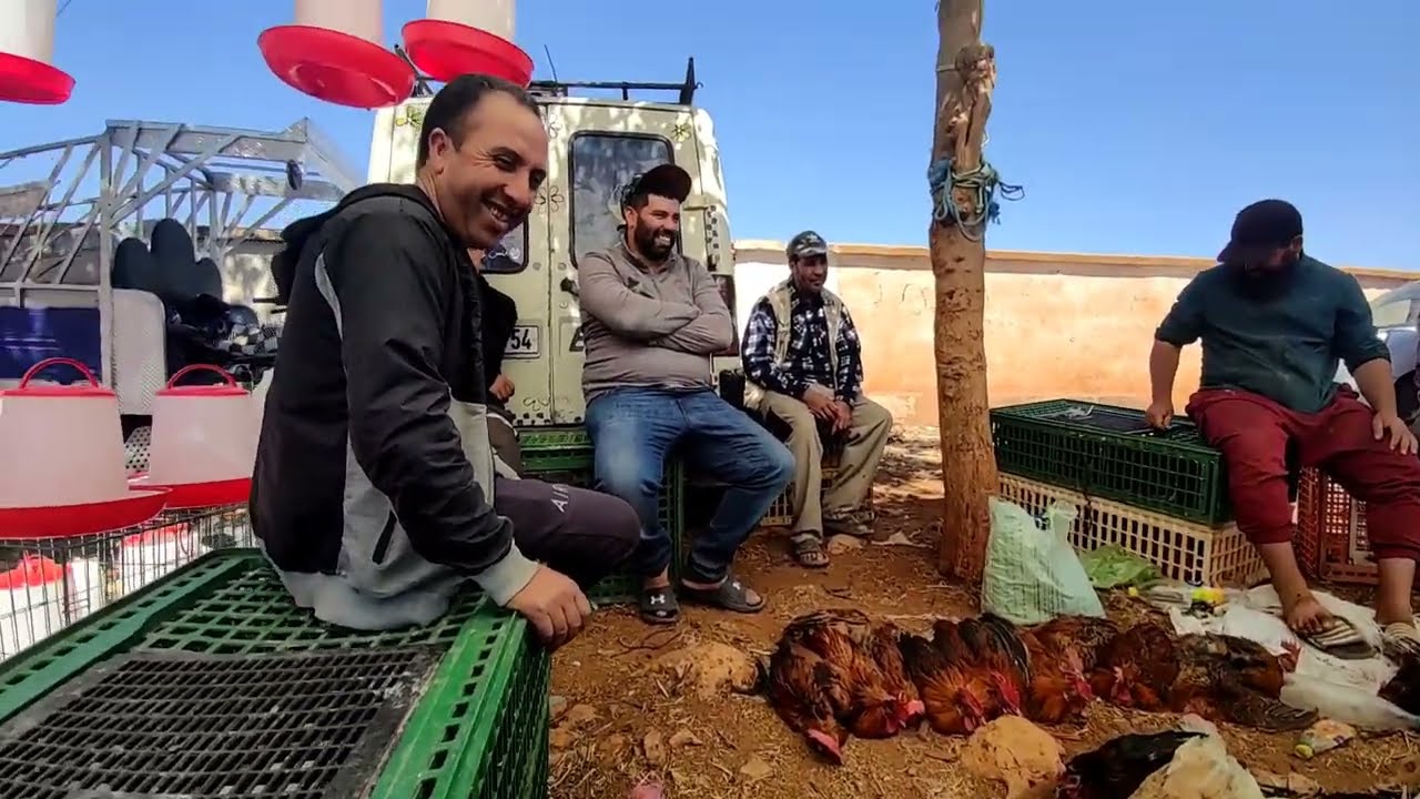 اجواء السوق نزاهة مع الدجاج البلدي وبيبي والفروج البلدي و الأرانب والبط والإوز 