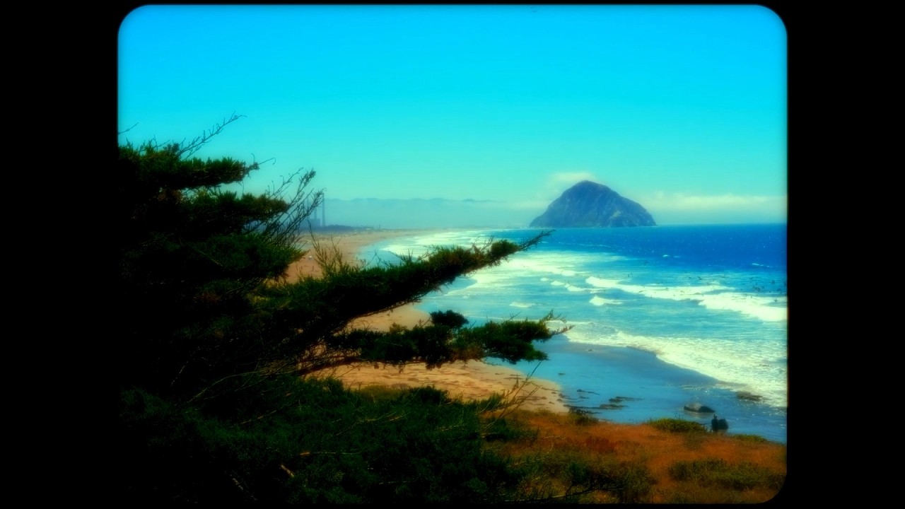 𝒔𝒕𝒊𝒍𝒍 𝒉𝒆𝒓𝒆... : a japanese shoegaze playlist because why not