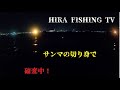 HIRA FISHING TV 夜釣りの太刀魚で初場所・・サンマの切り身で 確率変動入りました。