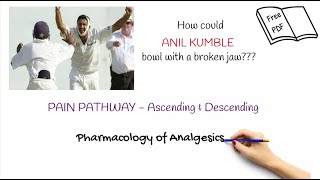 Pain Pathophysiology/Ascending & Descending Pathway/Gate Control Theory/Opioids & NSAIDs