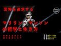 マリリン・マンソンの哲学と生き方【人物伝】