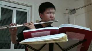 Dvorak Symphony no.8 1st movement Flute Solo Excerpt 1st half