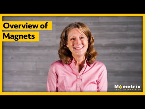 Video: Hľadať magnety: recenzie, recenzie, špecifikácie