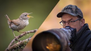 BIRD PHOTOGRAPHY VLOG -  THE ELUSIVE WINTER WREN - Canon R5 / Behind the scenes bird photography.