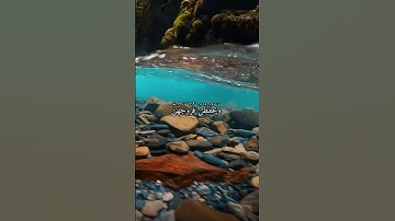 واتس اب قران كريم القارئ ياسر دوسري (سوره النور)