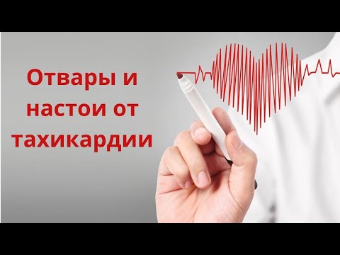 Лечение тахикардии народными средствами. Отвары и настои от тахикардии