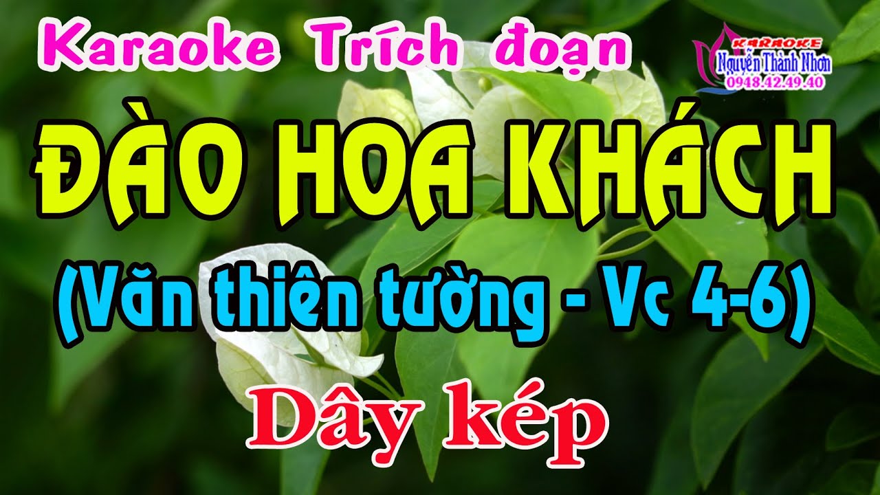 Karaoke Đào Hoa Là Gì: Khám Phá Hình Thức Giải Trí Độc Đáo Tại Việt Nam