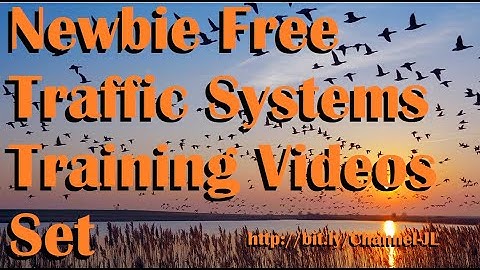 Newbie Free Traffic Systems Training Videos Set - 9 Videos