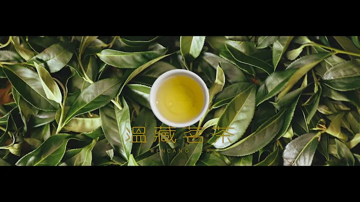 [商業影片/形象影片] 溫藏茗茶 企業形象 - 天天要聞