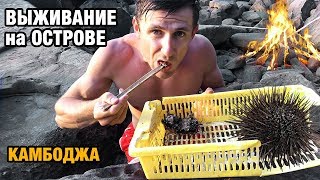 НОВОЕ ВИДЕО про мои приключения на необитаемом острове в Камбодже. Поймал Морского ежа на обед