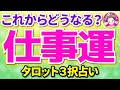 今後の仕事の展開と対策 