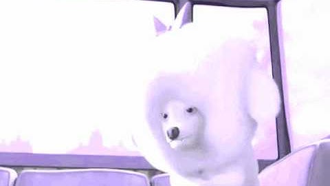 blame It on the pop)