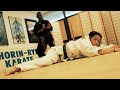 52 masters sensei robert temple teaser promo