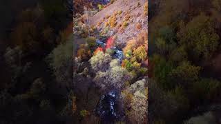 Sonbahar Ve Gümüşhane 🍂🍁🥮